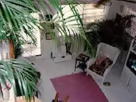 16 Kyle Way S Apt, Marathon, FL 33050 photo 1