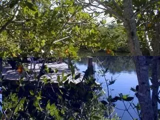 326 Lance #key, Key Largo, FL 33037 photo 2