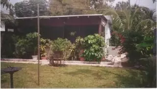 30854 Hammock, FL photo 5