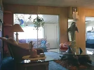 2276 Dolphin, FL photo 4