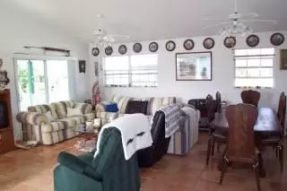 64 Pelican #palm, Palm Harbor, FL 34683 photo 6