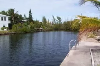 64 Pelican #palm, Palm Harbor, FL 34683 photo 4