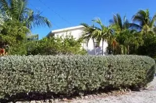 29677 Ranger #big, Big Pine Key, FL 33043 photo 2