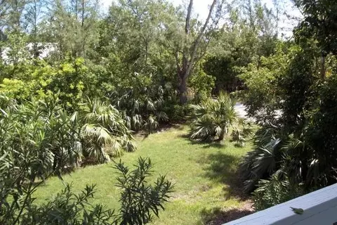 29117 Orchid Ln, Big Pine Key, FL 33043 photo 5