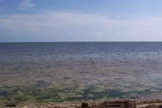 1749 Long Bch #big, Big Pine Key, FL 33043 photo 9