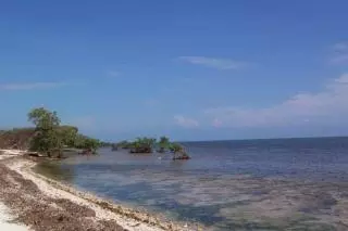 1749 Long Bch #big, Big Pine Key, FL 33043 photo 6
