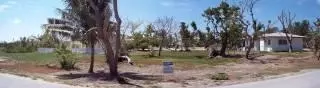 115 Bimini, FL photo 2