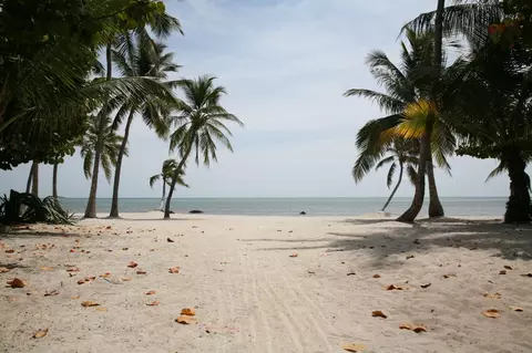 271 Beach Rd, Islamorada, FL 33036 photo 1