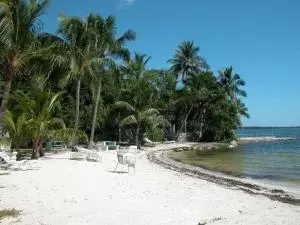 22 Snapper Ave, Key Largo, FL 33037 photo 7