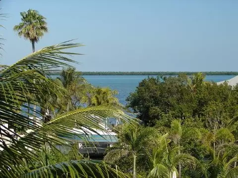661 Pine Ln, Big Pine Key, FL 33043 photo 8