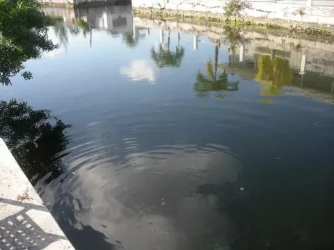 29357 Cypress Dr, Big Pine Key, FL 33043 photo 6