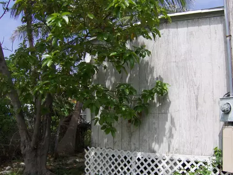 15 Mockingbird Rd, Key Largo, FL 33037 photo 11