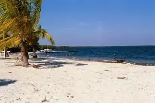 85 1st Ct, Key Largo, FL 33037 photo 23