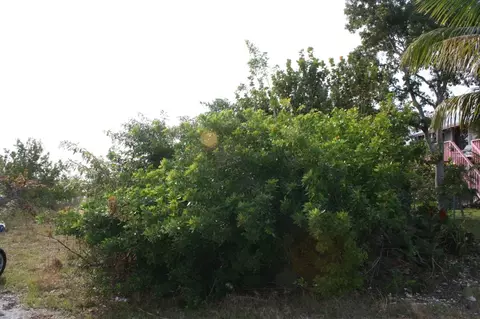 3700 Pine St, Big Pine Key, FL 33043 photo 3