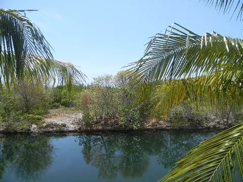 29642 Constitution Ave, Big Pine Key, FL 33043 photo 10