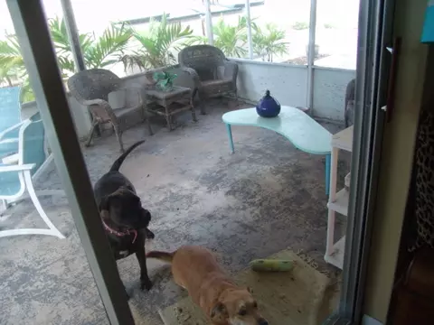 11137 4th Ocean Ave, Marathon, FL 33050 photo 7