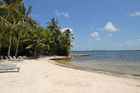 56 Snapper Ave, Key Largo, FL 33037 photo 15