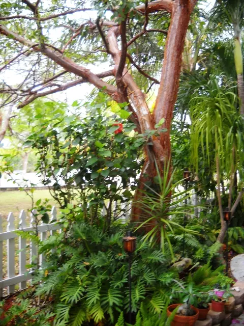 3931 Gordon Rd, Big Pine Key, FL 33043 photo 43