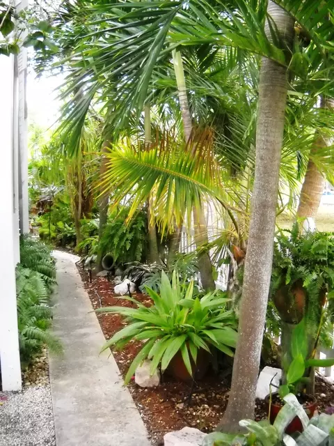 3931 Gordon Rd, Big Pine Key, FL 33043 photo 44