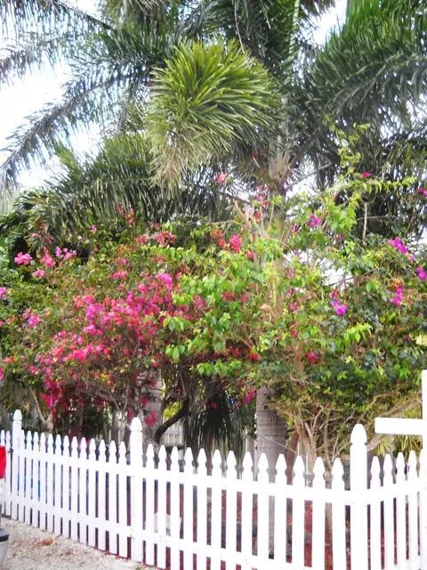 3931 Gordon Rd, Big Pine Key, FL 33043 photo 45