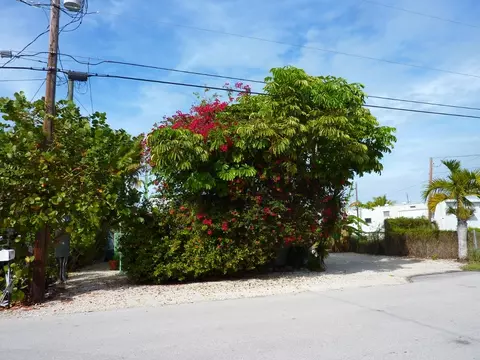 31547 D Ave, Big Pine Key, FL 33043 photo 3