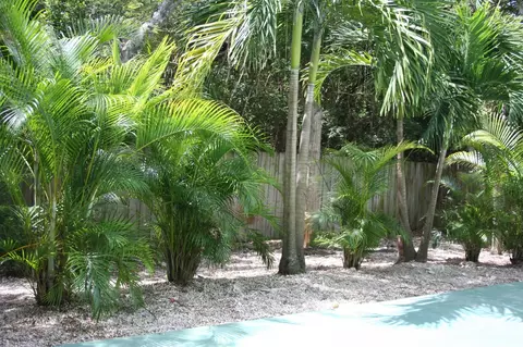 66 Central Ave, Key Largo, FL 33037 photo 12
