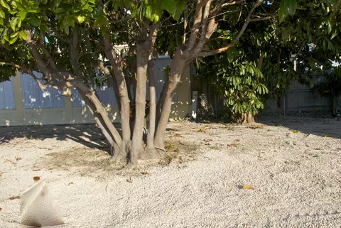 423 4th Rd, Key Largo, FL 33037 photo 22