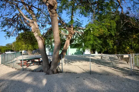 423 4th Rd, Key Largo, FL 33037 photo 8