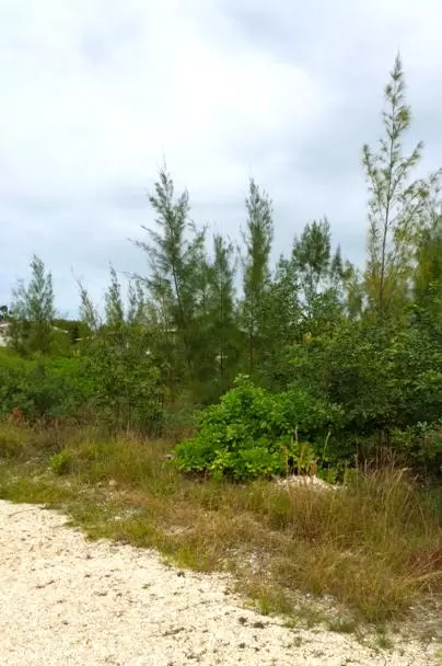 29517 Flying Cloud Ave, Big Pine Key, FL 33043 photo 3