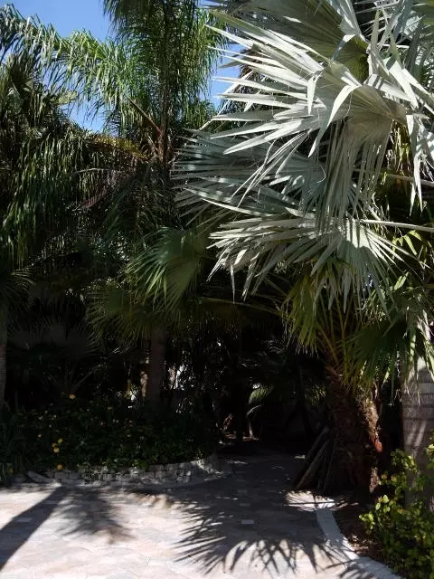 245 S Point Dr, Sugarloaf Key, FL 33042 photo 47
