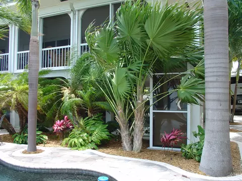 245 S Point Dr, Sugarloaf Key, FL 33042 photo 42