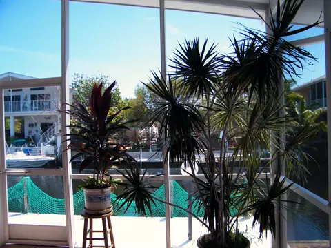 113 Buttonwood Ln, Long Key, FL 33001 photo 3