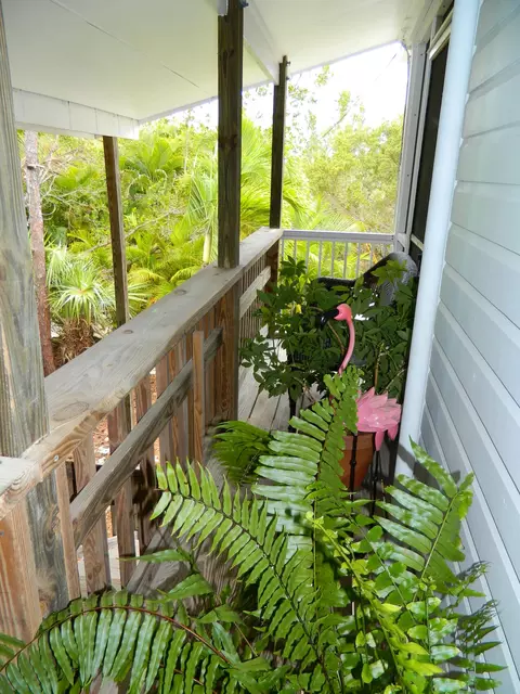 30359 Date Row, Big Pine Key, FL 33043 photo 21