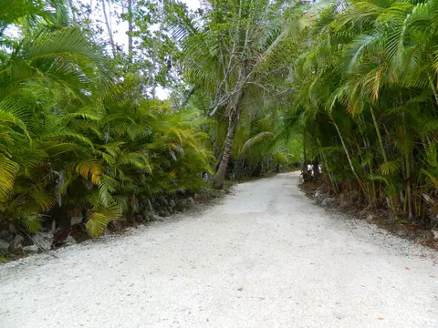 30359 Date Row, Big Pine Key, FL 33043 photo 26