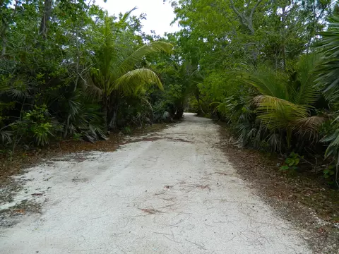 30359 Date Row, Big Pine Key, FL 33043 photo 2