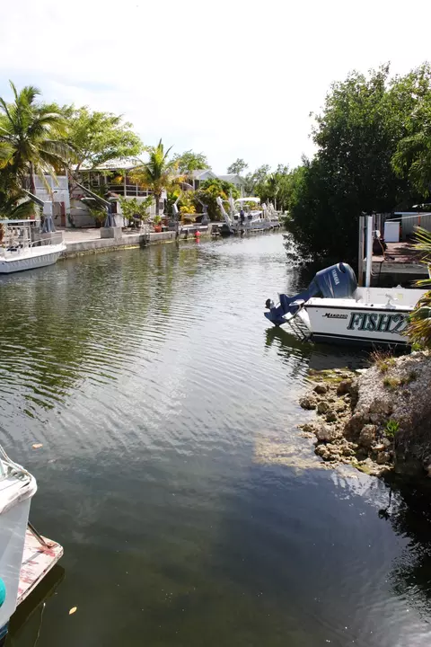 29080 Cedar Dr, Big Pine Key, FL 33043 photo 22