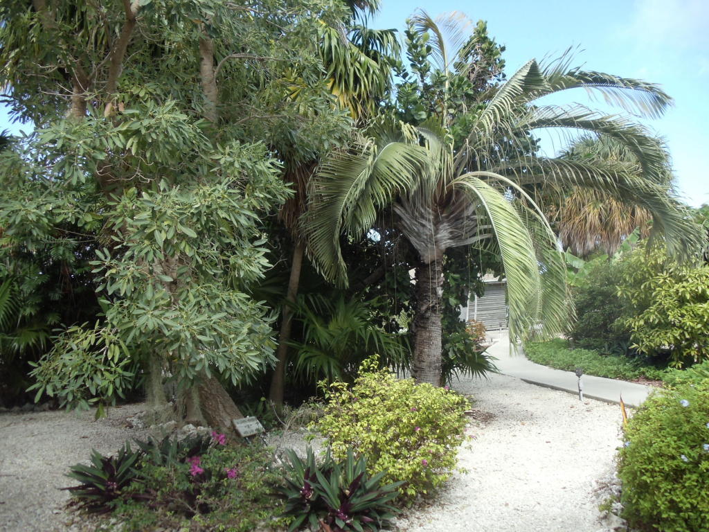 133 Coco Plum Dr #2, Marathon, FL 33050 photo 26