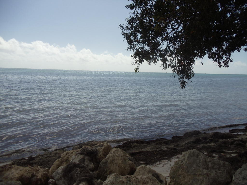 133 Coco Plum Dr #2, Marathon, FL 33050 photo 16