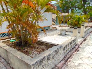 29071 Pine Ave, Big Pine Key, FL 33043 photo 15