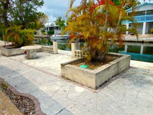 29071 Pine Ave, Big Pine Key, FL 33043 photo 13