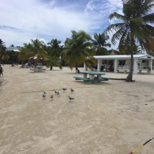 160 First Ct, Key Largo, FL 33037 photo 9