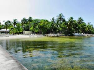 10 Bonefish Ave, Key Largo, FL 33037 photo 21