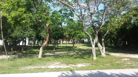 7 E Kyle Way, Marathon, FL 33050 photo 6