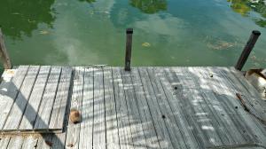 2569 Grouper Dr, Marathon, FL 33050 photo 8
