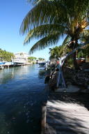 2569 Grouper Dr, Marathon, FL 33050 photo 48