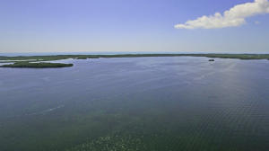 41 Bonefish Ave, Key Largo, FL 33037 photo 29