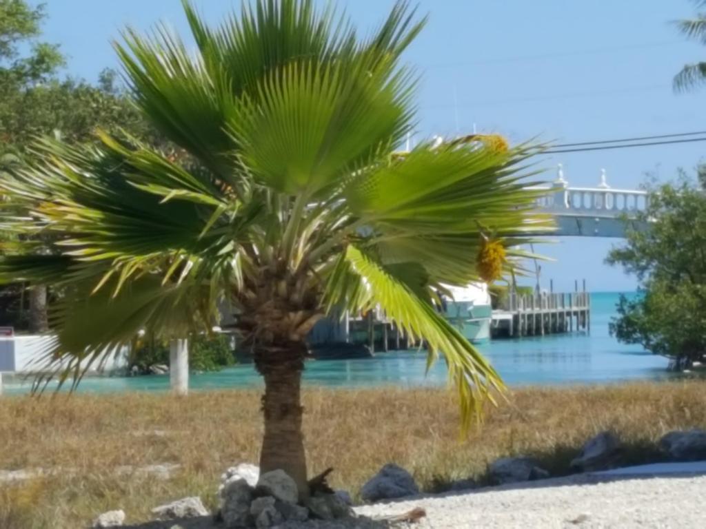 159 S Indies Dr, Duck Key, FL 33050 photo 2
