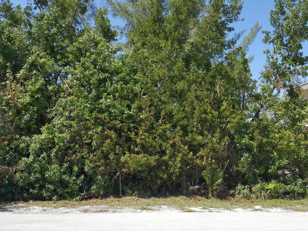 159 S Indies Dr, Duck Key, FL 33050 photo 3