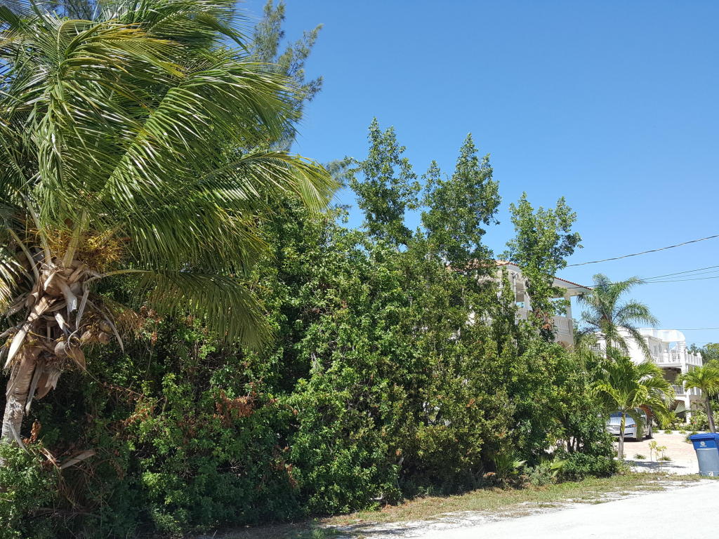 159 S Indies Dr, Duck Key, FL 33050 photo 1