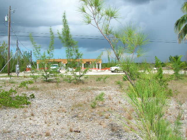 29548 Forrestal Ave, Big Pine Key, FL 33043 photo 3